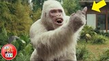 4 Con Khỉ BỰA Và KHẮM LỌ Nhất Trên Màn Ảnh | Best Monkey In Movies