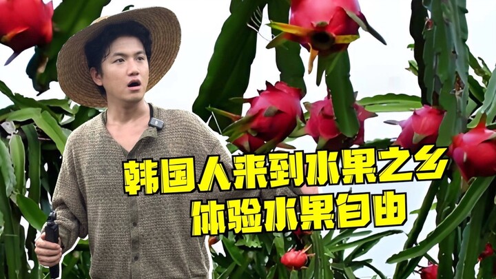 ชาวเกาหลีมาเยือนถิ่นผลไม้ของจีน แล้วตัดสินใจจะส่งออกไปยังเกาหลีใต้?