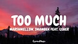 Marshmellow, Imanbek - Too Much (Lyrics) Feat. Usher