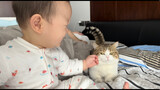 Animal | Human Baby And His Kitten Friend