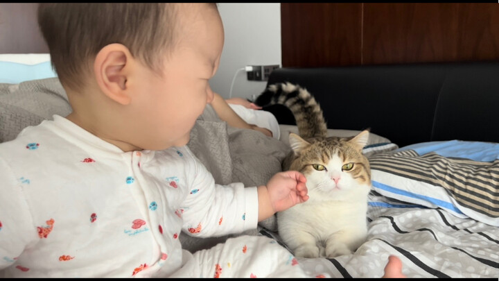 人类幼崽与猫猫的较量