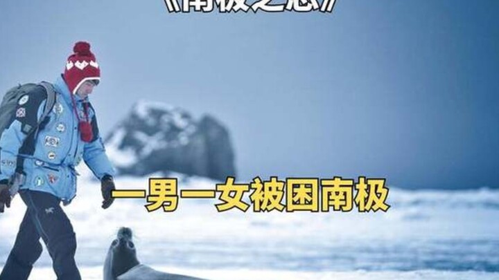 Một chiếc máy bay bị rơi và một người đàn ông và một người phụ nữ bị mắc kẹt ở Nam Cực.