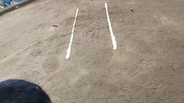 upland sports arena, lose