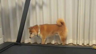 很明显这是单杠发动机，带四驱