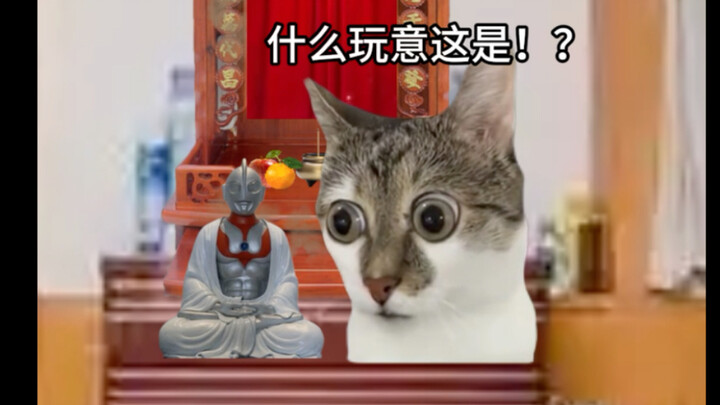 Nguyên nhân lần nữa bị đánh khi còn nhỏ