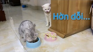 Bác thợ săn tên May và cô công chúa July