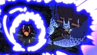 Kaido Sees The MONSTER in Luffy " I've Been To Hell Many Times " (English Sub)