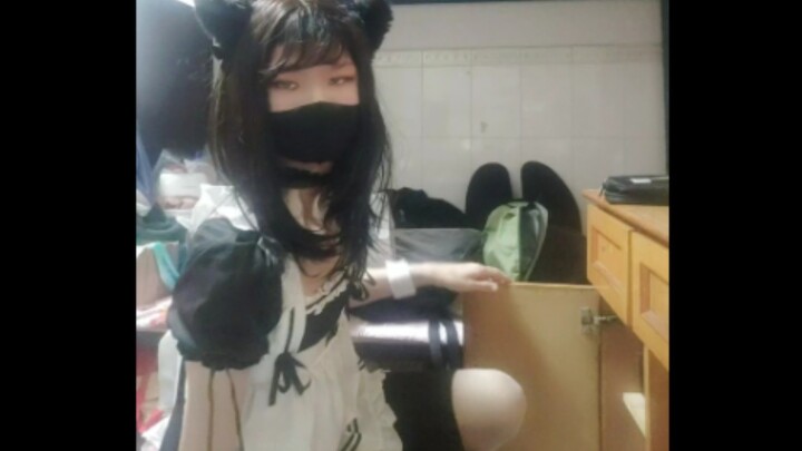 Tahun Baru Kucing Baru