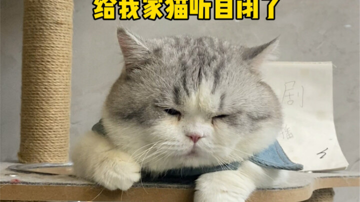 ชาวเน็ตยุคนี้แต่ละคนช่างมีพรสวรรค์ในการตั้งชื่อจริงๆ!!
