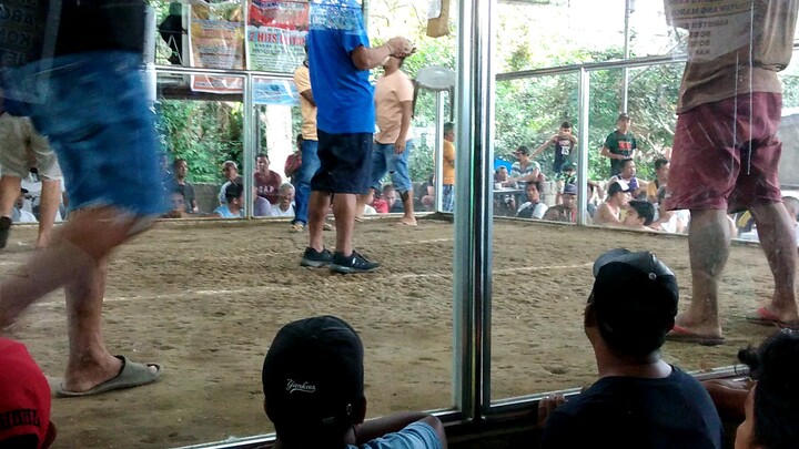 Tinola lng 5x win tibay..