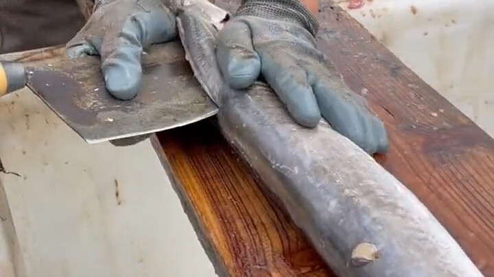 Domestic Eel Sage! Three Swords Style