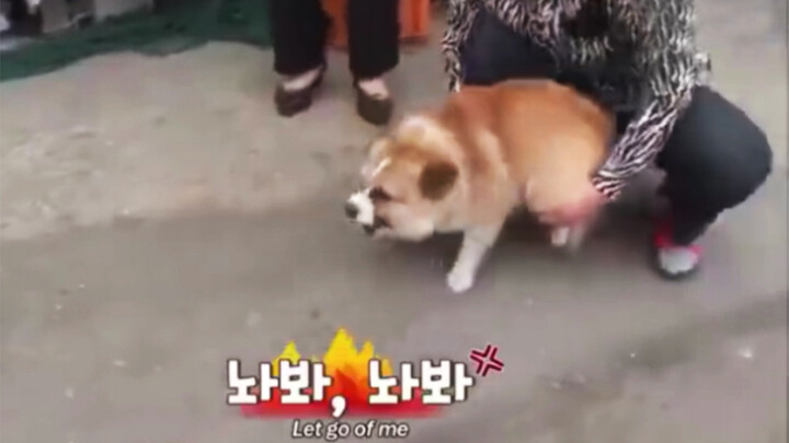 ยอมรับความจริงแล้ว ถึงจะใช้ชีวิตของตัวเองได้อย่างสงบ