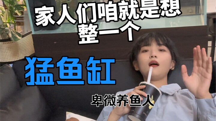 Kenangan Petani Ikan yang Sederhana | Baru aja bikin akuarium ikan gahar, dalam setengah tahun banya