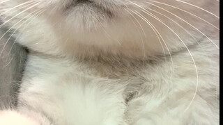 Tiêu chuẩn "chúc ngủ ngon" cuối cùng của Tangyuan là gì?