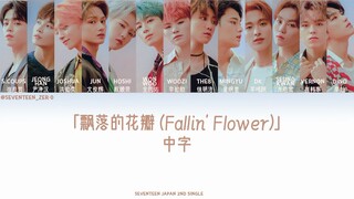 【SVT_ZER·0】SEVENTEEN - 飘落的花瓣 (Fallin Flower) 零站认人中字
