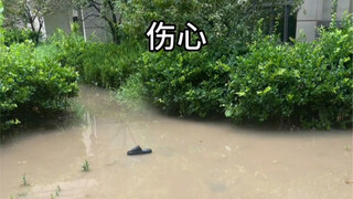 被伤过的心还可以爱谁