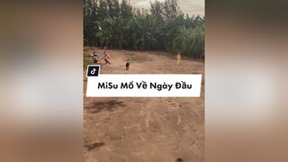 Trả lời  NAY MISU ĐI CHƠI ĐƯỢC RỒI ÝH MỌI NGƯỜI chó_cưng misu ngocanhstore 66đồngtháp