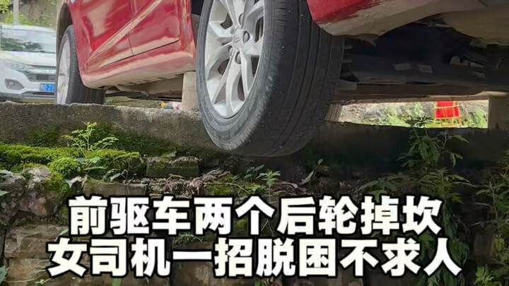 【Car God No. 1】has been updated—come check it out now!