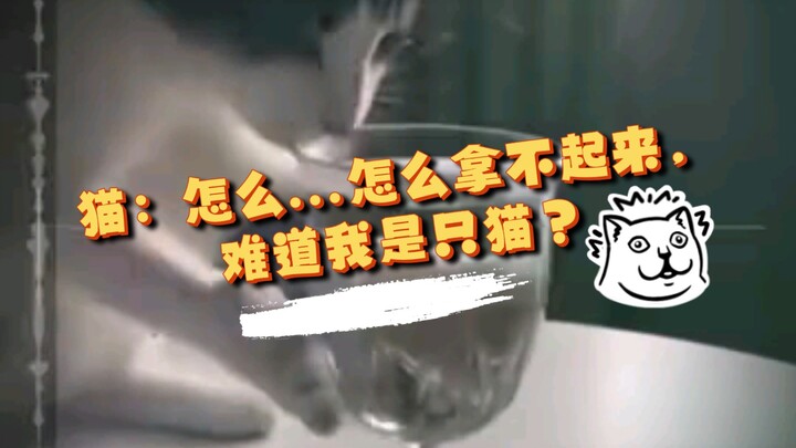 القط: كيف... كيف لا أستطيع رفعه؟ هل أنا قط حقًا؟