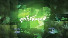 ลูกไม้หลากหลากสี 1