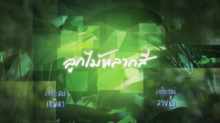 ลูกไม้หลากหลากสี 1