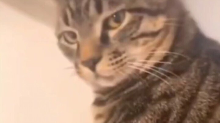 “Do you think you’re really that funny?”