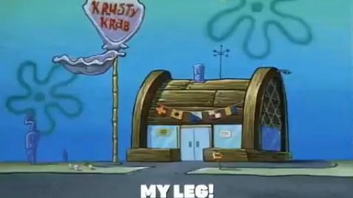 MY LEG!