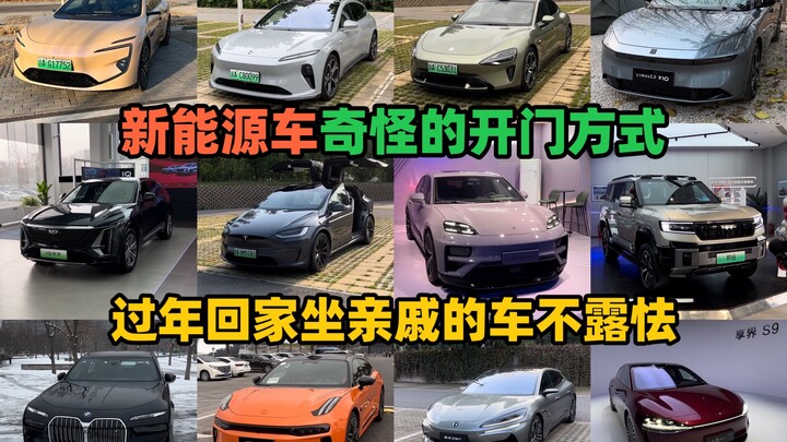 A hundred types of new-energy vehicles have a hundred different ways to open their doors.