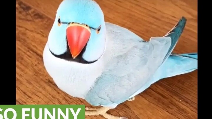 Close to the camera~Peek-a-boo❤