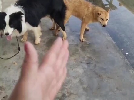 Baiklah, baiklah, baiklah, bahkan diikat pun tak bisa menahan pesonamu, ya?