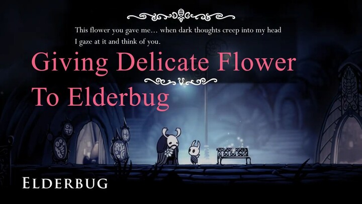 Giving Delicate Flower to Elderbug