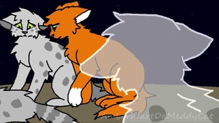 Ashfur AMV - Last Christmas (happy holidays!)