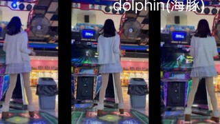 dolphin(海豚)