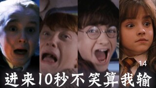 只有哈迷才懂的梗14