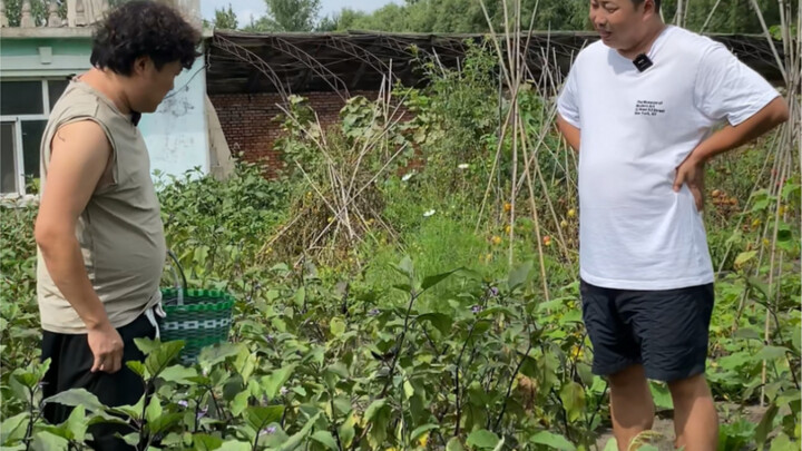 Lão Tứ mở ao nuôi cá, thuận theo dây leo tìm quả, khéo léo tìm ra ý tưởng mới