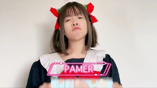 PAMER