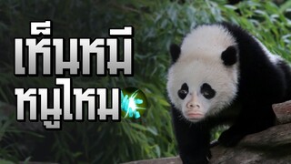 Rov: Zukaป่า เห็นหน้า=ตาย!!