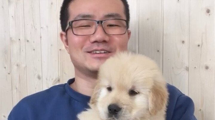 New member! Jingyu got a new puppy and even looks glum while eating, as if she can’t even enjoy her 