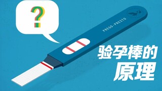 علم مبسط برسوم متحركة من TED: كيف تعمل شرائط اختبار الحمل