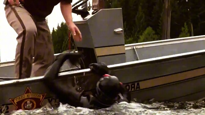 Watching the dairy cow being devoured by a giant crocodile, the elderly lady nearby remains complete