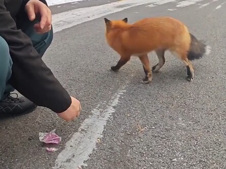 Tiba-tiba Bertemu Keberuntungan