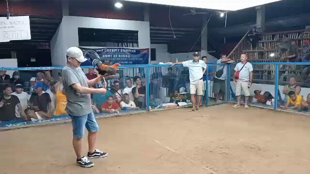 BUGBA 4 Stag 4thfyt (W)