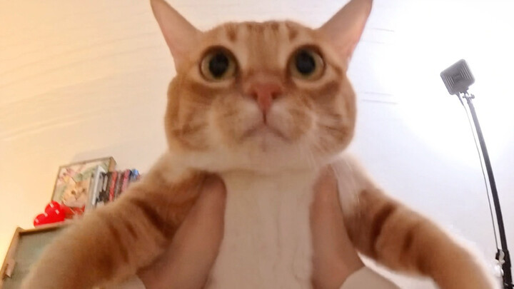นี่มันจะเป็นงานที่ดูดีได้ยังไงกัน?
