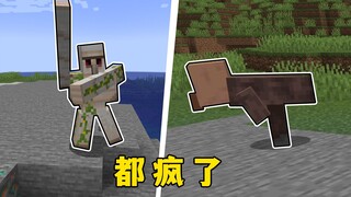 我的世界：疯了，都疯了