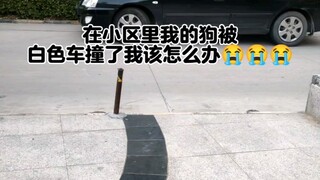 Tolong bantu lihat apakah ini serius, apakah perlu ke rumah sakit