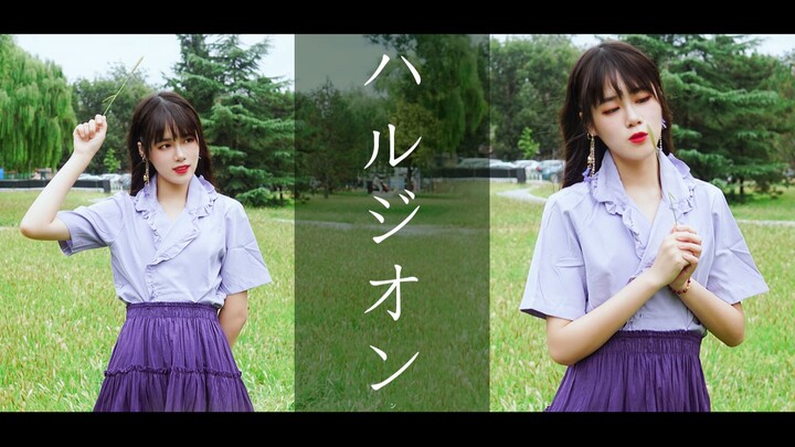 【Chin】ハルジオン/春aster（YOASOBI）【การออกแบบท่าเต้นต้นฉบับ】【งานวันเกิด】