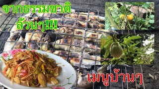 ปิ้งปลาที่แม่ไปหามาและเก็บผักจากสวนมาทำส้มตำเมนูที่ไม่ได้เสียเงินอีกแล้วจ้า เมนูบ้านๆแซ่บๆ