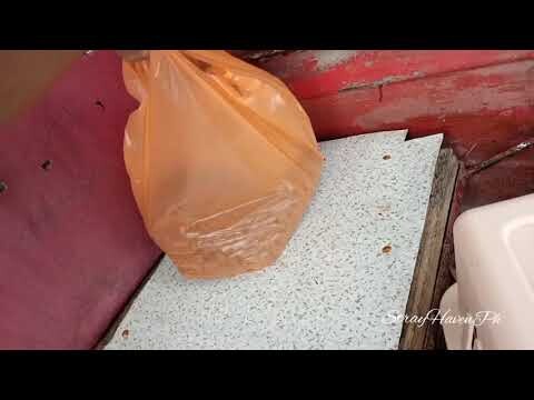 I Tried To Look For Two Missing Cats......