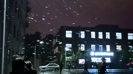 مممم... غريب الأطوار