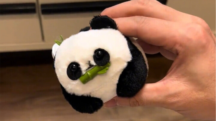 We agreed to give me this little panda as a gift next time we meet.